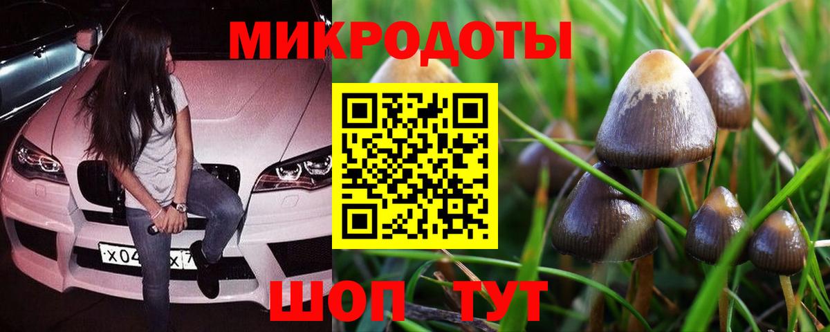 Ярославль  Псилоцибиновые грибы Magic Shrooms  Вход с VPN  Галлюциногенные грибы Cubensis 