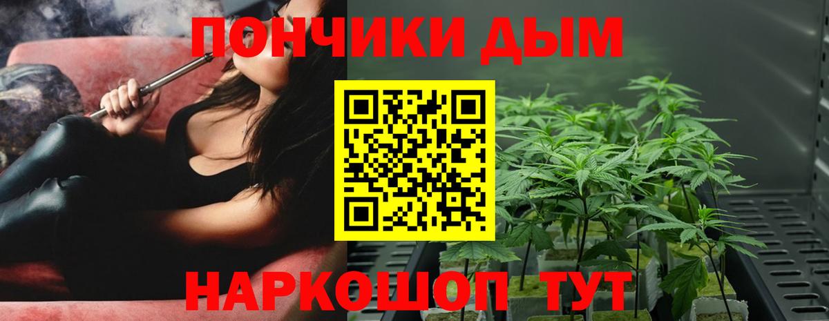 Ярославль  Конопля сатива  Бошки Шишки гибрид  Вход с VPN 